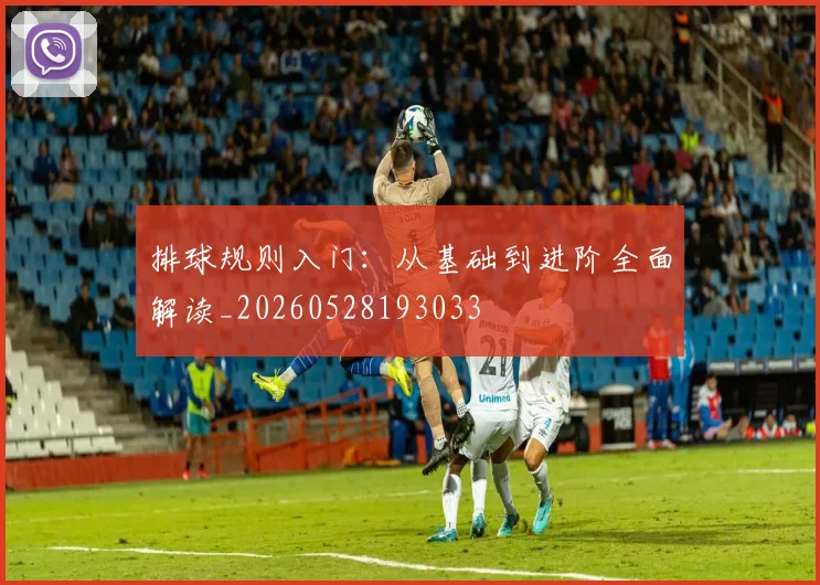 排球规则入门：从基础到进阶全面解读_20260528193033