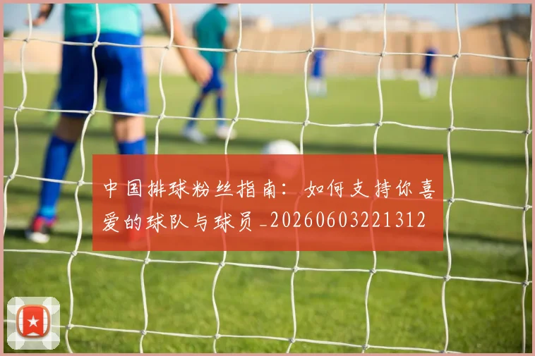 中国排球粉丝指南:如何支持你喜爱的球队与球员_20260603221312