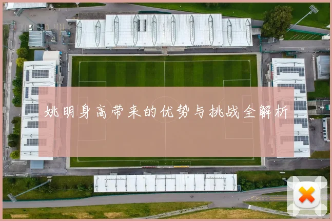 姚明身高带来的优势与挑战全解析