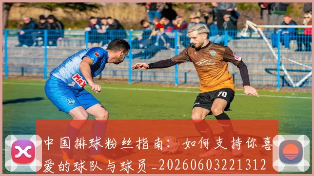 中国排球粉丝指南：如何支持你喜爱的球队与球员_20260603221312